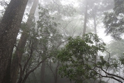 天気が回復しない