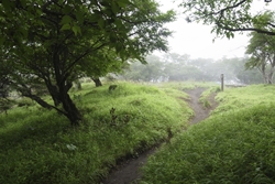 山頂が見えた