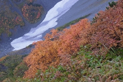 紅葉と万年雪