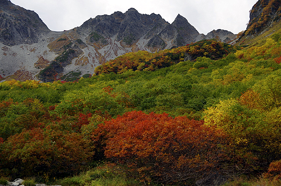 涸沢の紅葉