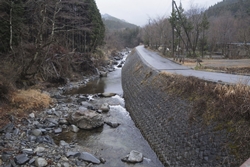 沢沿いの道