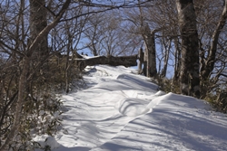 突然雪質