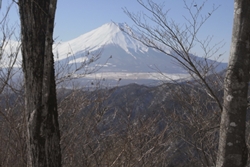 富士山