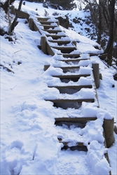 階段にも雪