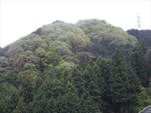 春山〜・・・。さっきの雪は何だ...