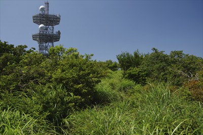 相変わらず道がよくわからないけ...