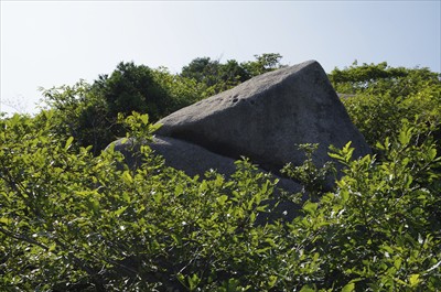 ・・・変わった形の岩が・・・。...