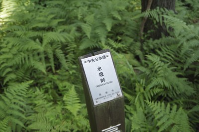 やったー！　水坂峠脱出！...