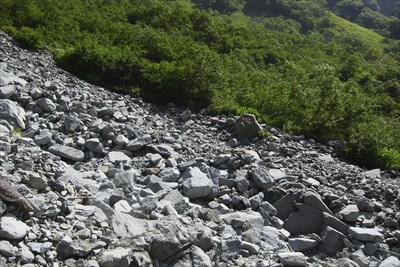 岳沢小屋のテント場は岳沢の左岸...