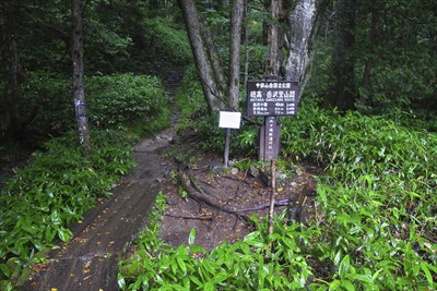 岳沢登山口に出た！...