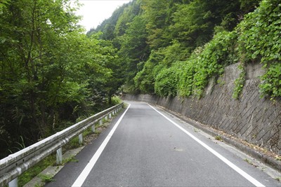 後は林道を歩くだけ、山奥のわり...