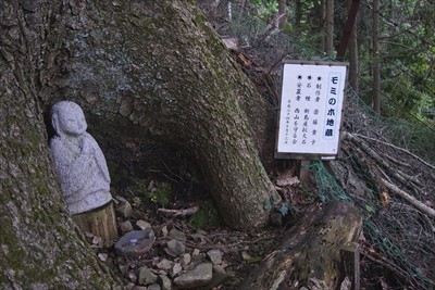 途中にこんな物が・・・。以前来...