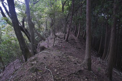 一部尾根が細くなっている箇所も...