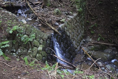 沢の右岸側を下ります。...