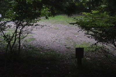 お〜、広い所に出た。タイヤの跡...