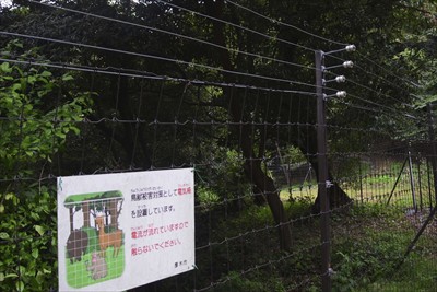 電気の通った鹿柵の向こうはどう...