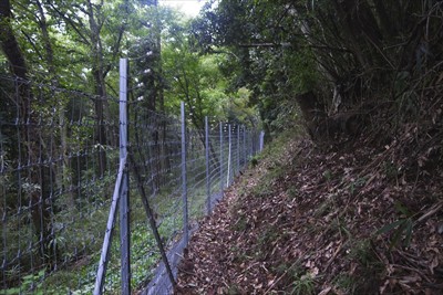 間違っても電気柵に触れないよう...