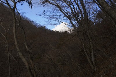 あそこの鞍部が雨山峠か？...