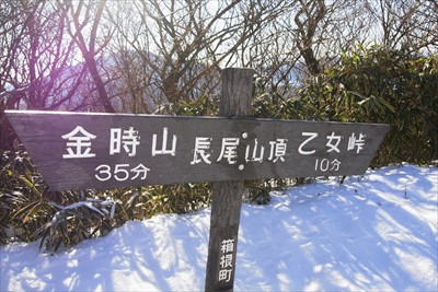 と思ったら、ここが長尾山の山頂...