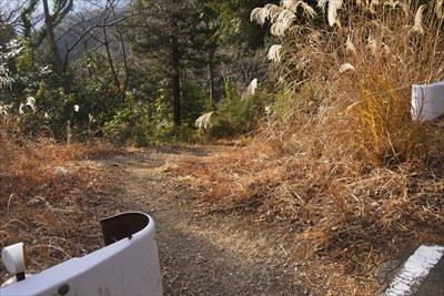 再び登山道へ・・・。...