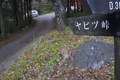 ・・・右に曲がってヤビツ峠に向...