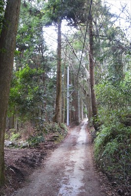 ダラダラな登り坂・・・。傾斜は...