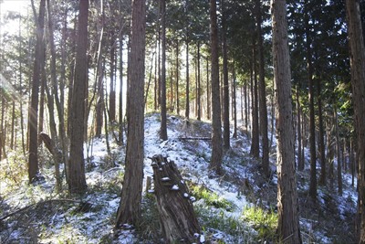 それはさておき、菰釣山を目指し...