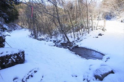 林道到着。雪のおかげで段差や凸...