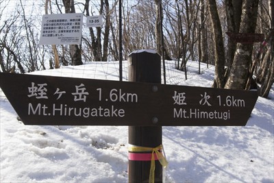 中間地点。よく見ると右上の方に...