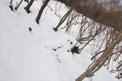 雪の斜面をトラバースする。右側...