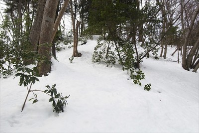 ・・・雪の斜面は怖いので、ピー...