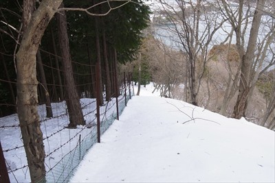 ・・・再び柵の横を進む。何枚か...