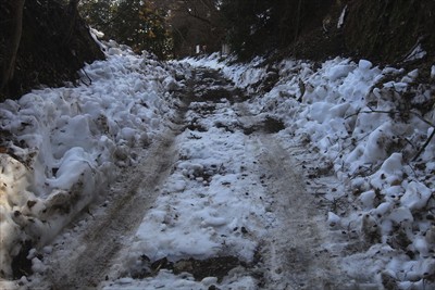 一応除雪はされているようだけど...