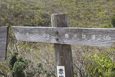 赤坂山まであと600m。...