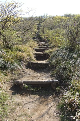 鞍部まで下ったらあとは登り返す...