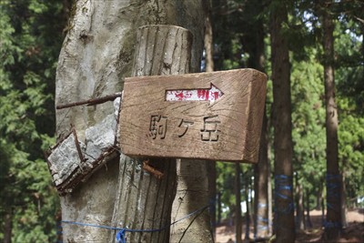 駒ケ岳はまだか〜。...