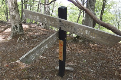 駒ケ岳南尾根の分岐。駒ケ岳まで...