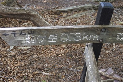 おっ！　駒ケ岳まであと300m...