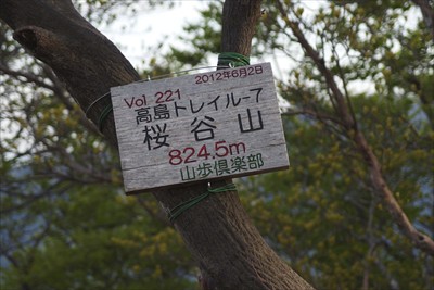 ここが桜谷山。...