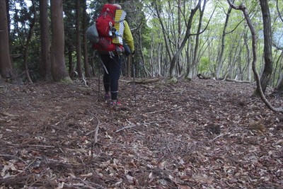 さぁ、最終日（にしたい）のスタ...