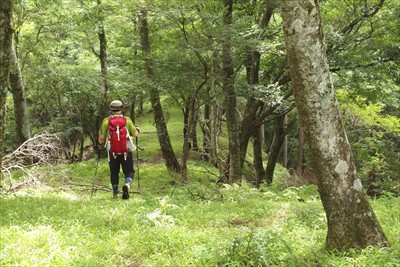 さぁ、あとはノンビリ下山するだ...