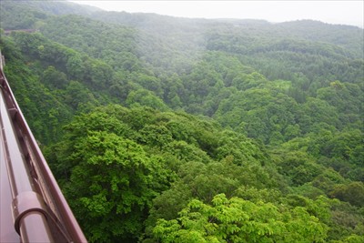 高い、怖い。...