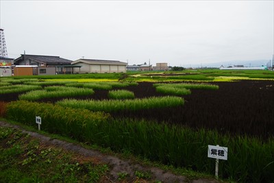 実は昨日岩木山から酸ヶ湯温泉に...