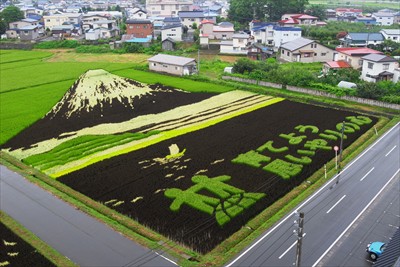 こっちは富士山。うっ、右下に自...