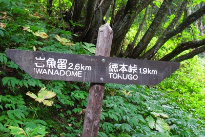 徳本峠まで1.9km。...