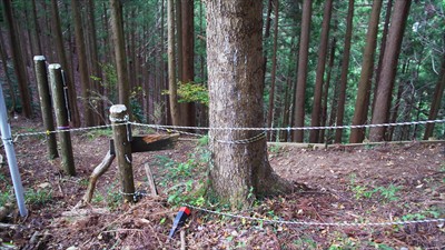 気を取り直して、登山道に戻りま...