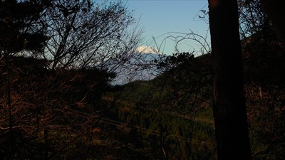 登り始めてすぐに富士山が見えて...