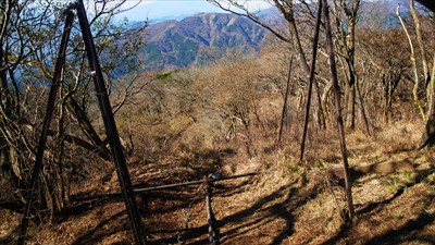 山頂で30分ちょっとブラブラし...