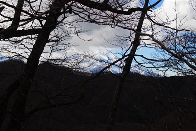 途中で振り返ると大きな富士山が...