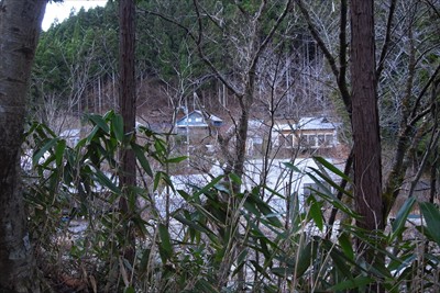 まだ木々の間から民家が見える。...